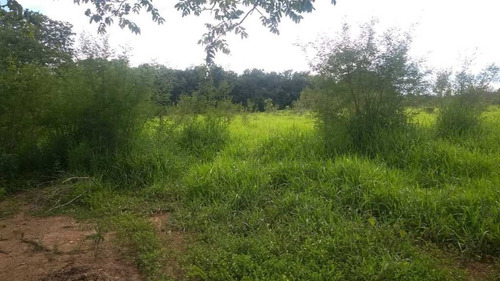 Imagem 28 de 30 de Fazenda De Gado E Graõ Com 455 Hectares Curvelo - 36426