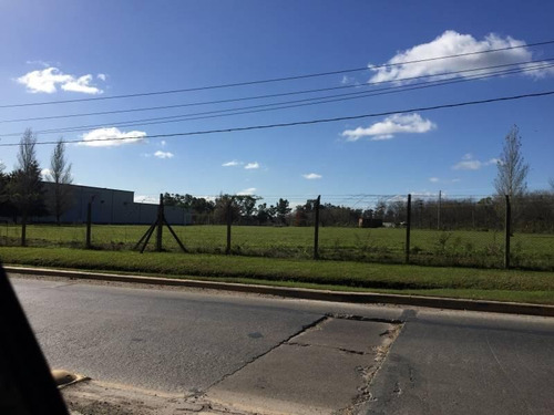 Imagen 5 de 23 de Planta Industrial Sobre Calle 9 Esquina Frondizi Con Temp. Controlada