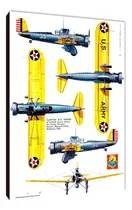 Comprar Cuadros Aviones Avionetas Aereos Xl 33x48 (avpo (3))