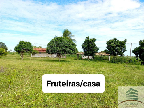 Imagem 2 de 18 de Chácara A Venda Lagoa Das Pedras, Povoado Mandú