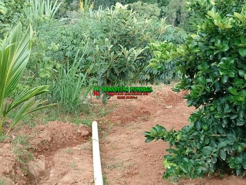 Linda Chácara 5800 M² Em Jambeiro - 1744
