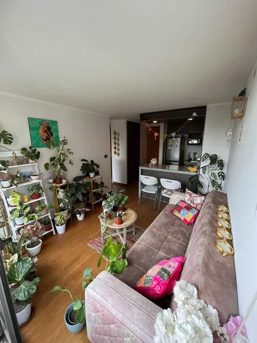 Arriendo Departamento En Concepción (91027)