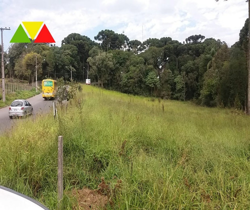 Imagem 3 de 6 de Área Residencial À Venda, Jardim Esmeralda, Campo Largo. - Ar00016 - 34982871