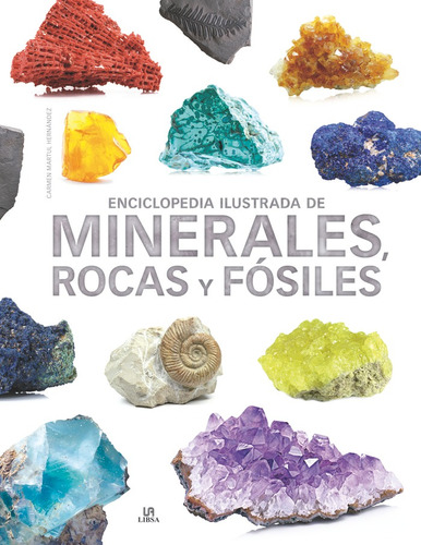 Enciclopedia Ilustrada De Minerales Rocas Y Fosiles - Aa.vv