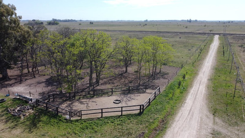 Imagen 5 de 19 de Campo - Coronel Brandsen