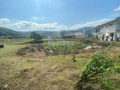 Imagem 19 de 25 de Casa À Venda No Bairro Pomerânia - Guabiruba/sc - 2043