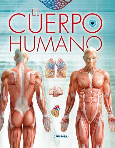 El Cuerpo Humano, De Susaeta, Equipo. Editorial Susaeta, Tapa Dura En Español
