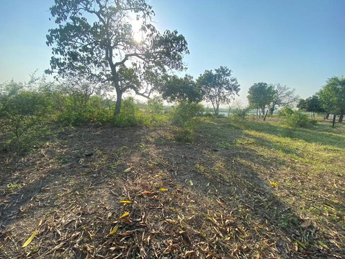 Venta Terreno 3000 M² Juana Moza Frente Al Rio Tuxpan Veracruz