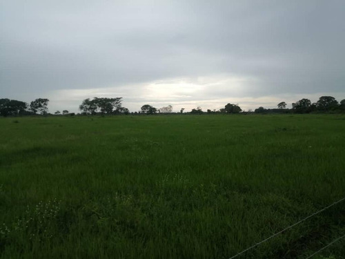 Imagen 14 de 17 de De Oportunidad Vendo Finca En El Cantón 283 Hectáreas Ah