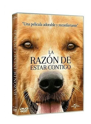 La Razón De Estar Contigo | Película Dvd Español Colección