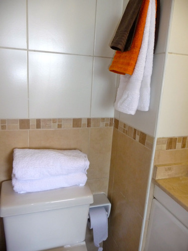 Departamento Amoblado En Arriendo Román Diaz, Providencia