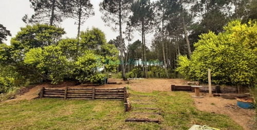 Imagen 11 de 22 de Alquilo Casa En Pinamar Alamos 2 -barlovento 1825