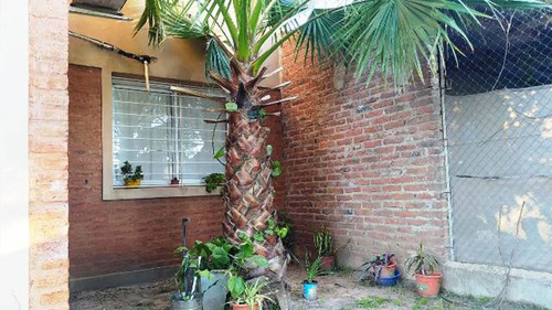Imagen 6 de 26 de Casa 2 D C/importante Terreno En Bº Conquistadores