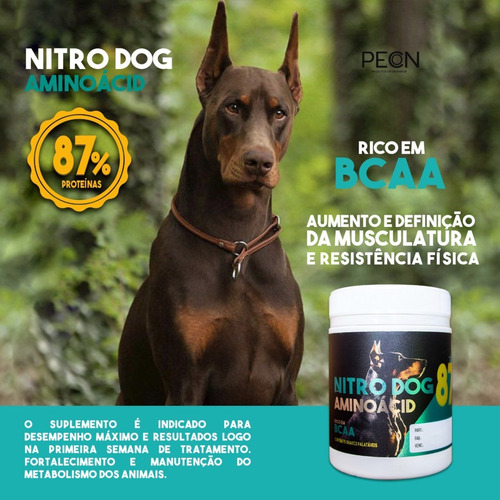 Suplemento Massa Muscular Crescimento 87% Proteína Cães