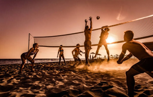 Red De Voleibol Escolar Sencilla N-101 Plus