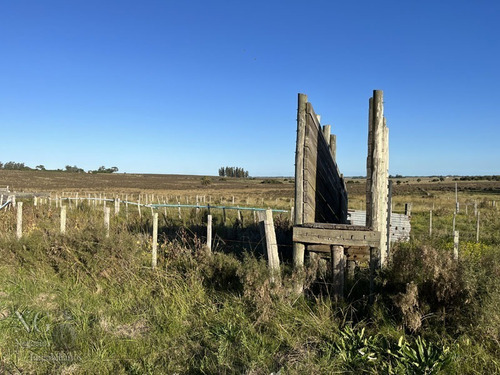 Excelente Campo De 102 Has Ganadero Con Casas Y Galpón