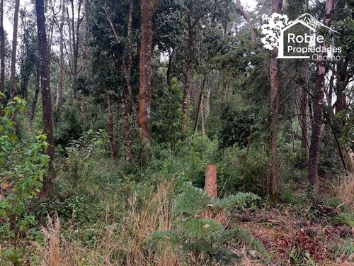 Vende Parcela A 6 Km. De Puerto Octay