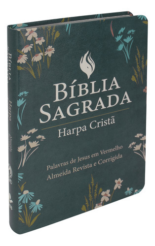 Bíblia Sagrada Letra Grande Com Harpa Cristã - Capa Luxo Ilustrada, De Cpad e Sbb