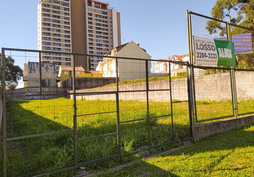 Imagem 9 de 9 de Terreno Para Alugar - 00823.004