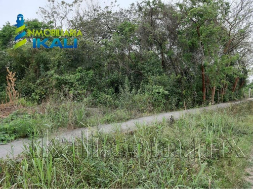 Imagen 5 de 10 de Terreno Comercial En Venta Primavera