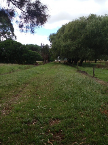 Alquiler De Campo De 4 Hectareas En El Boqueron, Apto Para Cria De Animales