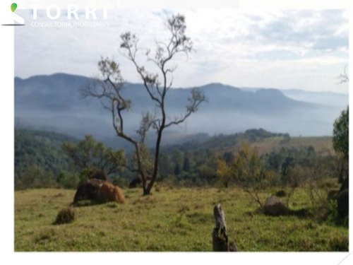 Imagem 4 de 6 de Area De Alto Padrão Em Santana De Parnaiba - Ar00093 - 70544013
