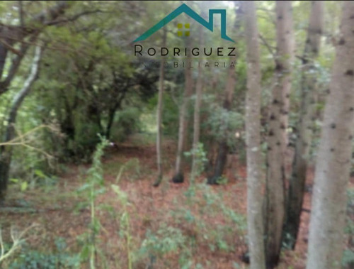 Imagen 6 de 8 de Campo 8 Hectáreas Las 3 Lomas En Gral: Madariaga