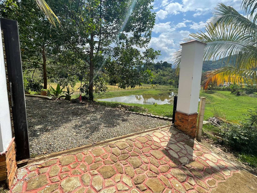 Imagen 5 de 30 de Espectacular Finca Clima Caliente En Venta Porce