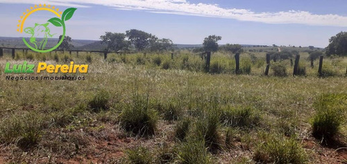 Imagem 3 de 7 de Fazenda À Venda Em Figueirão - Ms - De 1.003 Hectares (pecuária) - 1684