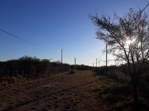 Imagen 6 de 15 de Loteo En La Sierra La Paz Córdoba