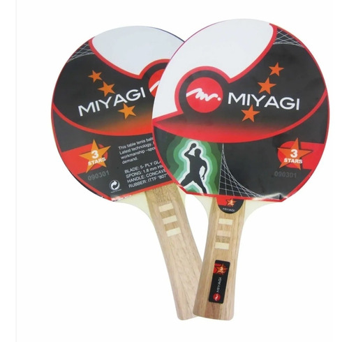 Raqueta X2 Und De Ping Pong Miyagi 3 Estrellas