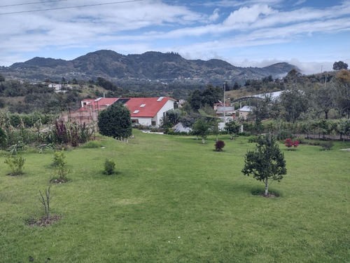 Ideal Rancho