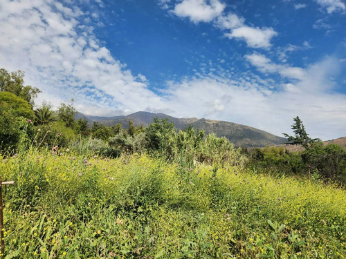Hacienda De 5.000 M² En Lo Cañas Con Riego (173166)