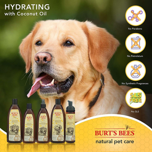 Las Abejas De Burt Para Perros Care Plus Champú Hidratante N