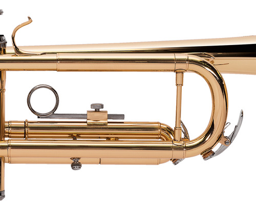 Trompete Michael Wtrm30 Laqueado Com Capa