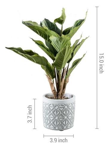 Planta Artificial De Hojas De Dieffenbachia En Maceta De Con