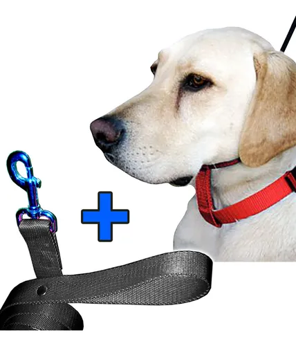 Collar Para Perros Que Tiran Detiene El Tiron Illusion Ftz