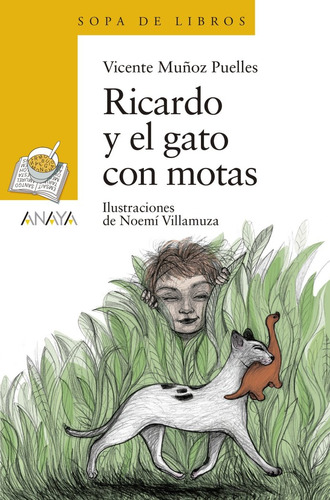 Ricardo Y El Gato Con Motas - Muñoz Puelles, Vicente