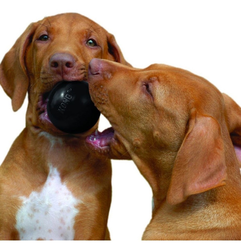 Imagen 4 de 8 de Kong Ball Extreme Small Juguete Perros Pelota