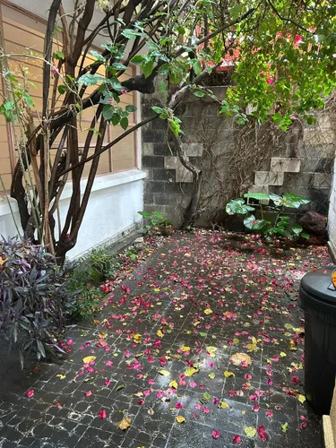 Venta Casa En Letrán Valle