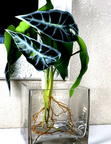 Imagen 4 de 9 de Florero Suvenir Cuadrado De Vidrio Importado 10 Cm Deco