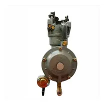 Comprar Conversor A Gas Motomel Mcg100 Para Generadores Eléctricos