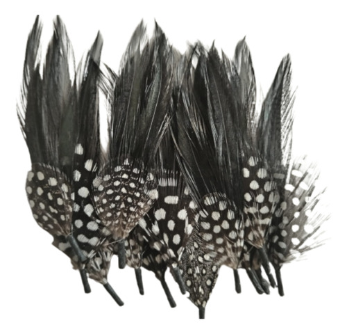 Plumas Negra Para Sombrero 500 Pzas