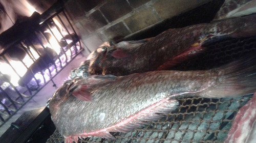 Imagen 5 de 10 de Catering De Parrilla / Todo A Las Brasas