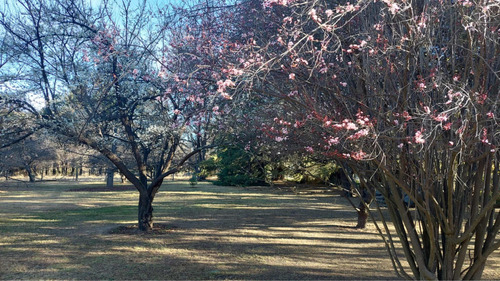 Casa De Campo Y Parque. Lugar Único En Tafí Del Valle