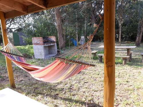 Imagen 5 de 10 de Alquilo Casa En Punta Rubia