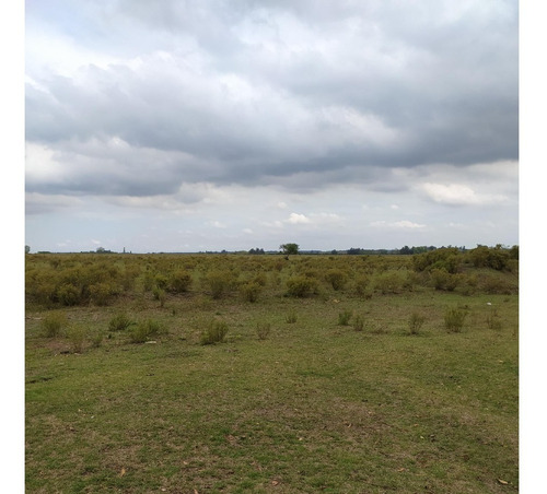 Vendo Muy Lindo Campo De 11 Has, Casa, Monte, Tajamar, Zona Tranquila Consulte