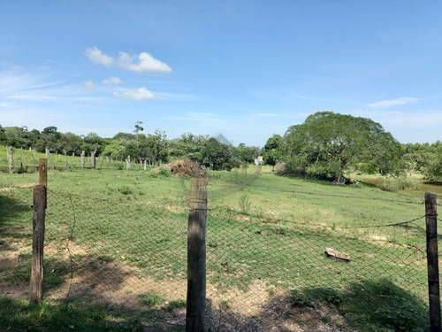 Imagem 12 de 14 de Sitio - St00117 - 71041109