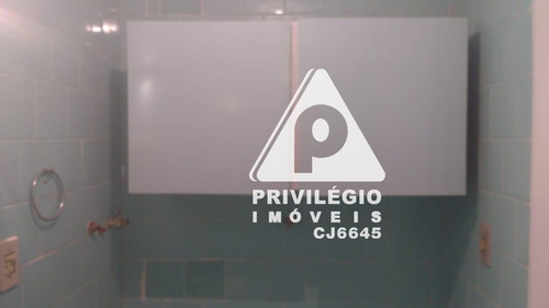Apartamento Para Aluguel, 1 Quarto, Laranjeiras - Rio De Janeiro/rj - 29489