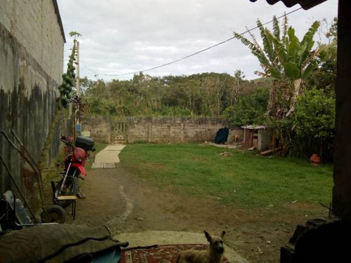 Imagem 9 de 11 de Casa No Balneário Gaivota, Em Itanhaém, Com 02 Dormitórios; 01 Wc; 01 Cozinha; 01 Sala
